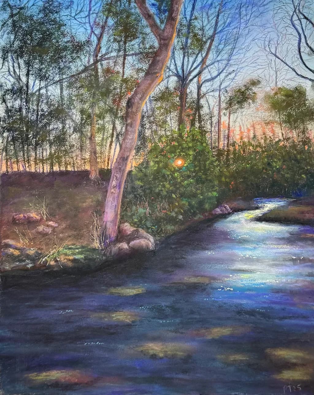 Whispers of Twilight: A Serene Stream Through the Forest's Embrace