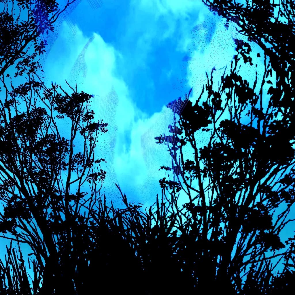 Whispers of the Sky: A Dance of Shadows and Light in Nature's Embrace