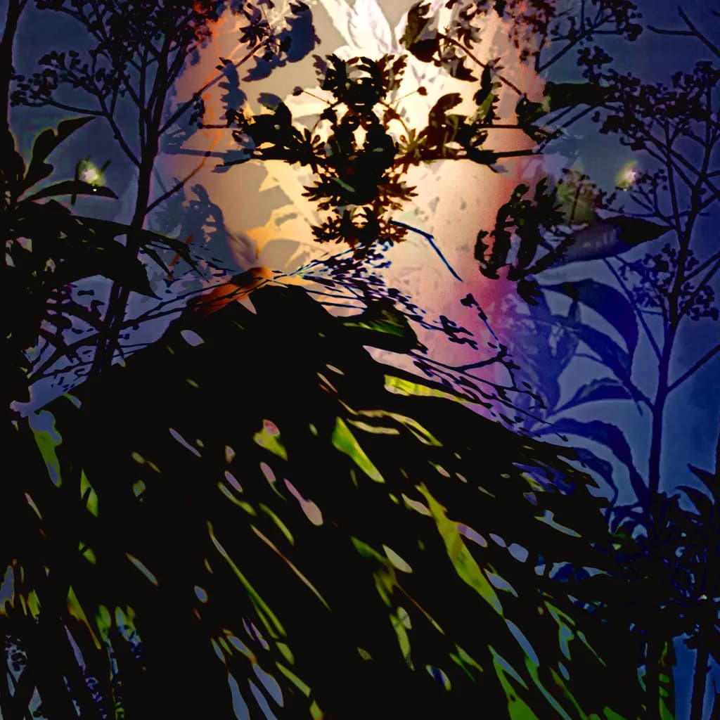Whispers of Nature: A Dance of Shadows and Light in the Moonlit Garden