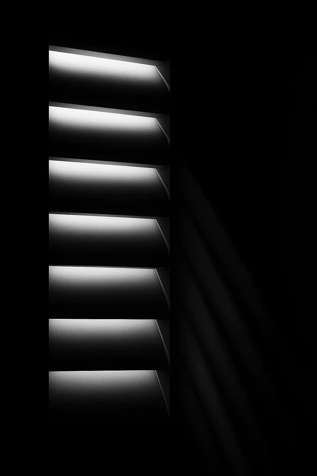 Shadows and Light: The Dance of Blinds in Monochrome Elegance