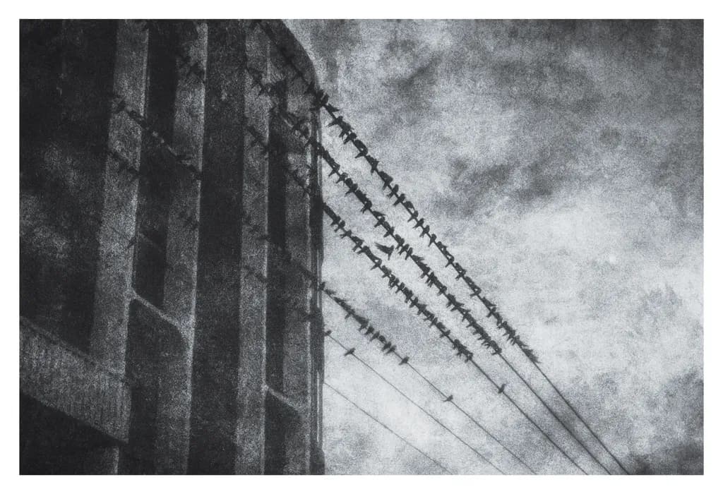 Urban Symphony: Monochrome Lines and Birds in the Sky