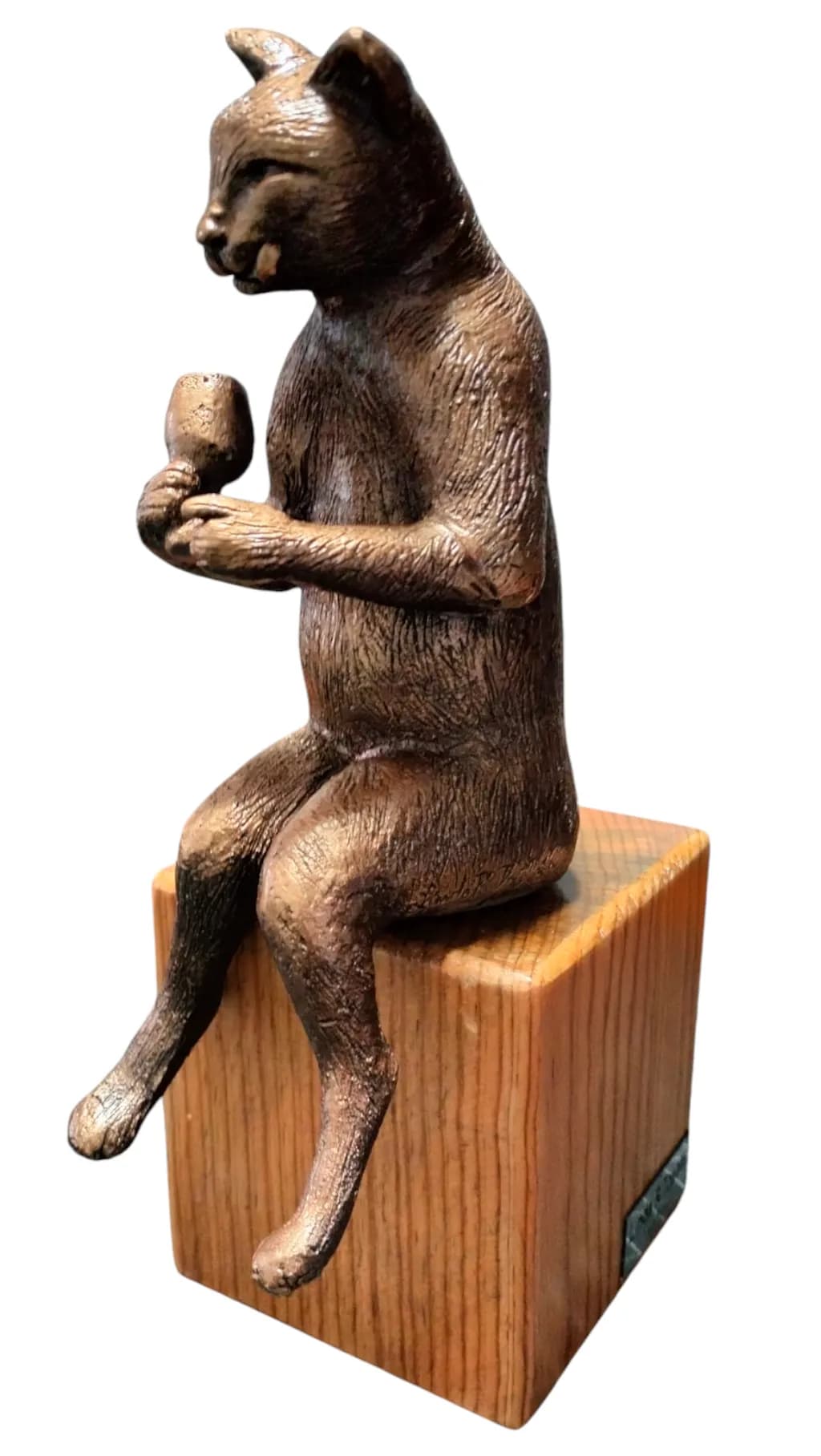 Whimsical Bronze Cat Sculpture: A Playful Moment Captured in Artistry