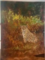 Leopard in the Wild
