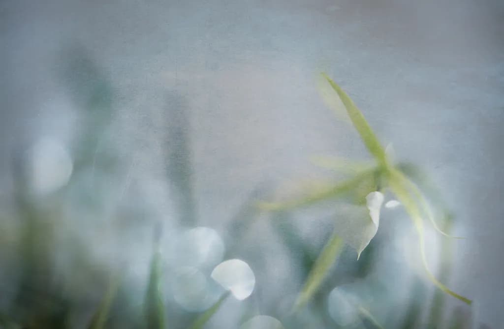 Drift of light