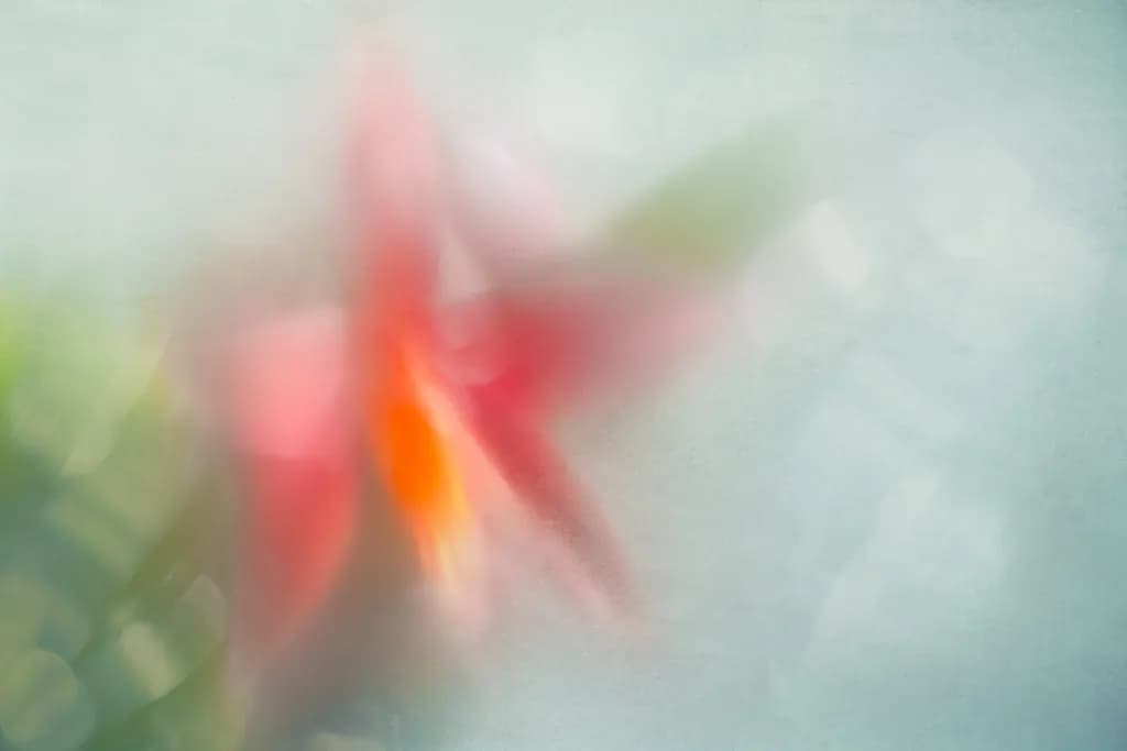 Soft Glow Blossom
