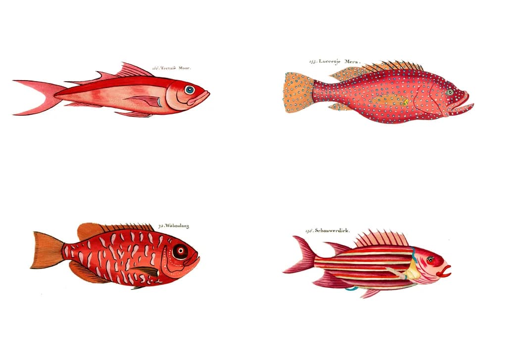 Vibrant Underwater Symphony: A Collection of Colorful Fish Illustrations