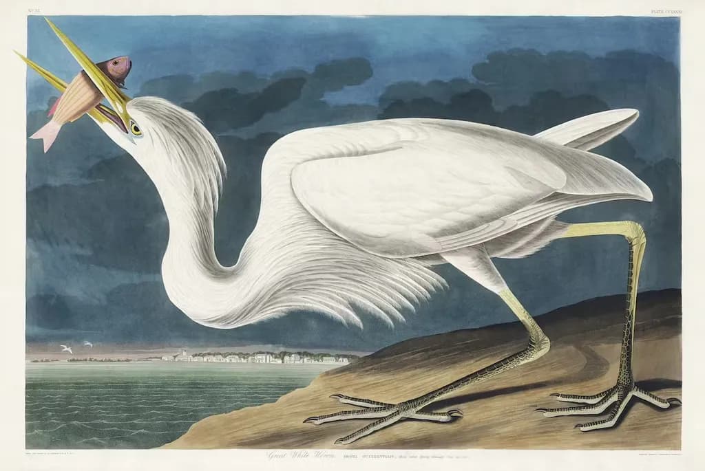 Majestic Heron: A Dance of Nature and Water in Vibrant Harmony
