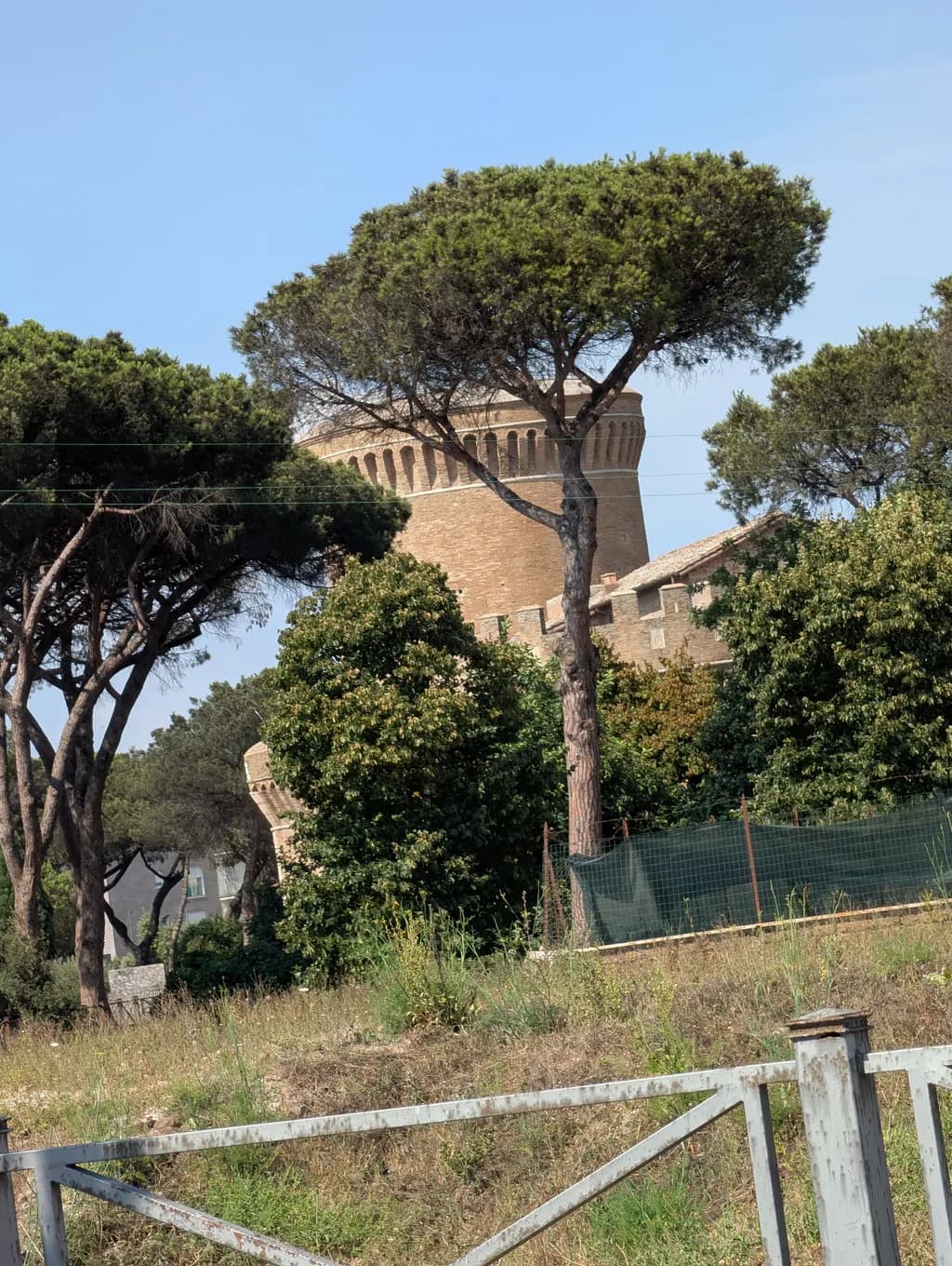 Castle Tower Behind Pines