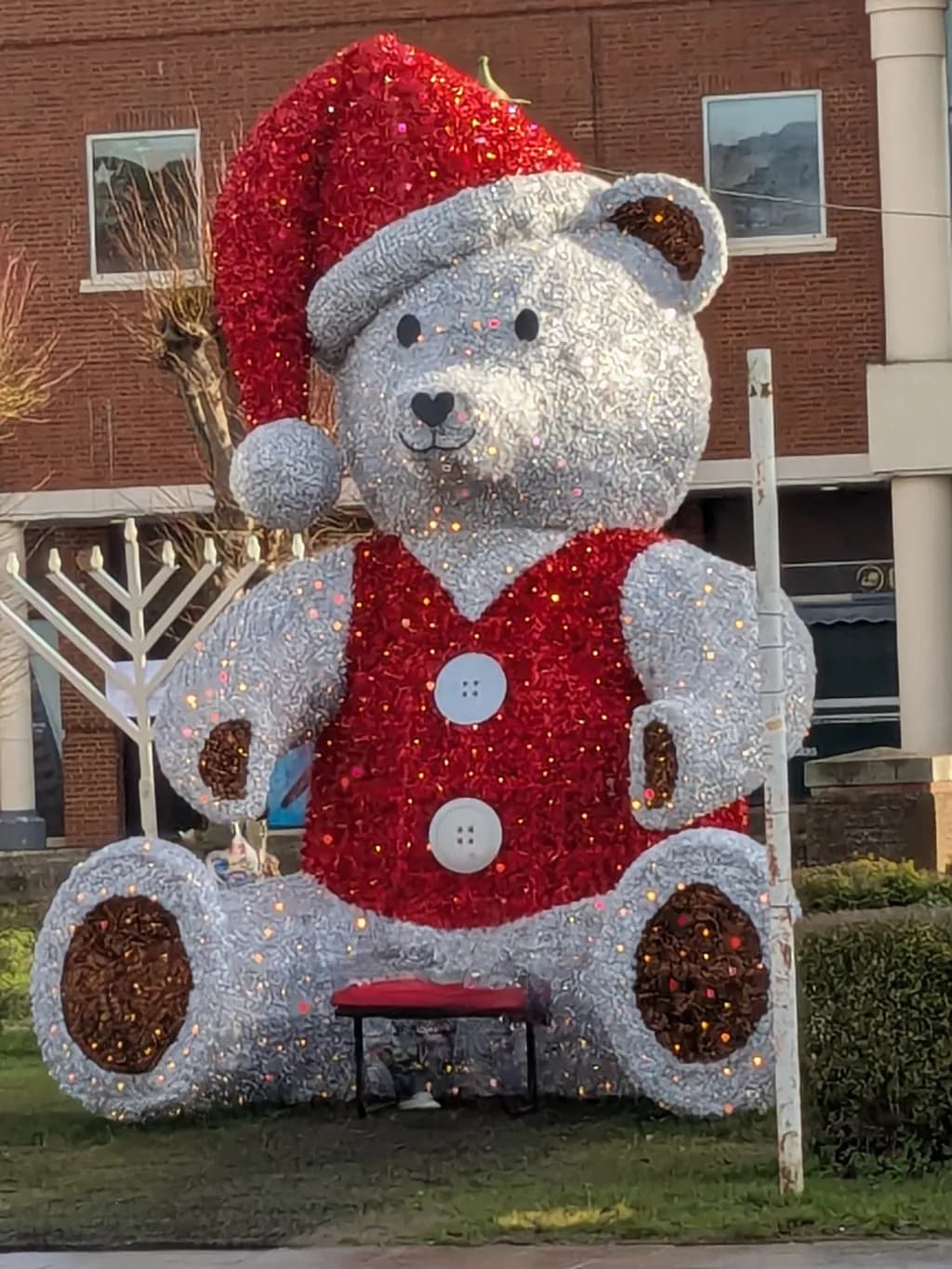 Festive Teddy Delight
