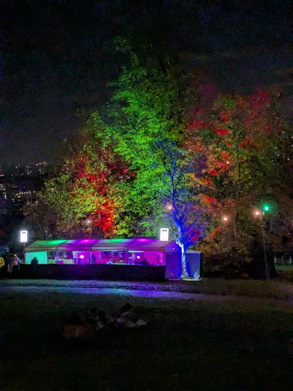 Illuminated Nightscape
