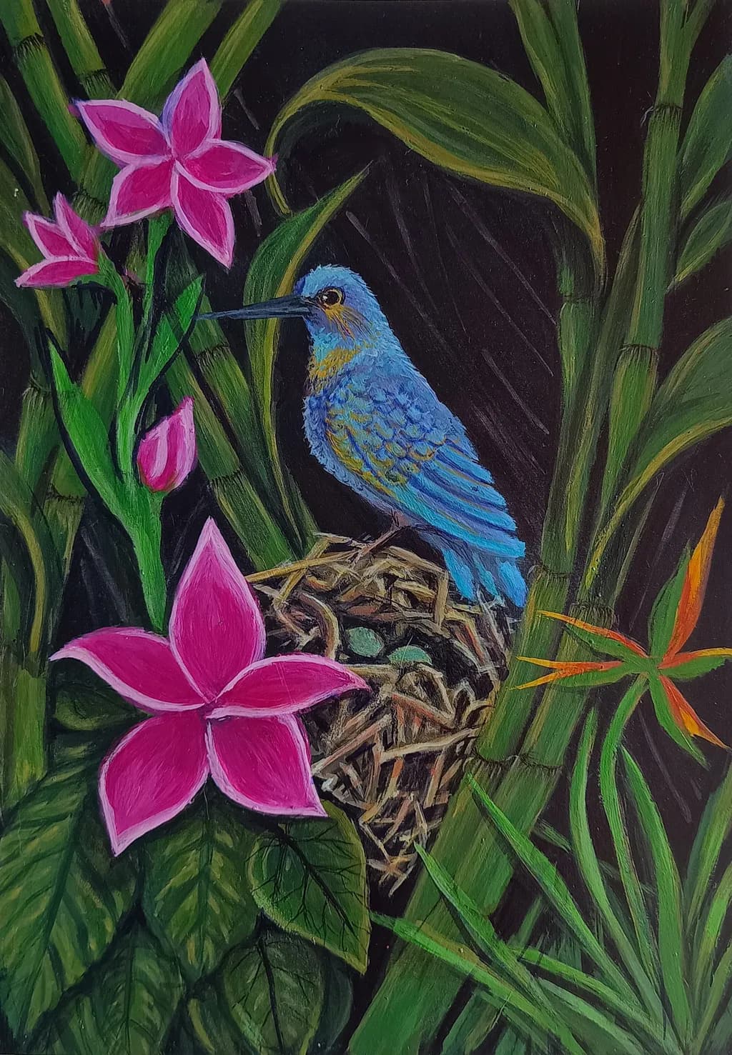 Whispers of Nature: A Hummingbird's Haven Amidst Vibrant Blooms