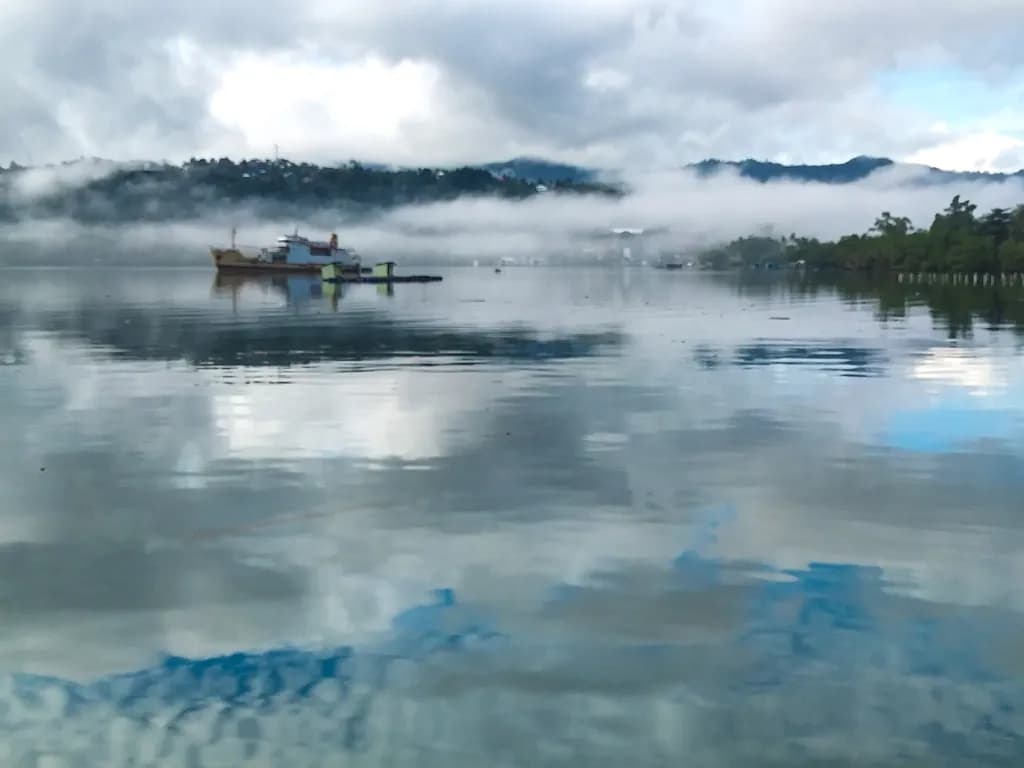 Serenity in Reflection: A Misty Morning on Tranquil Waters