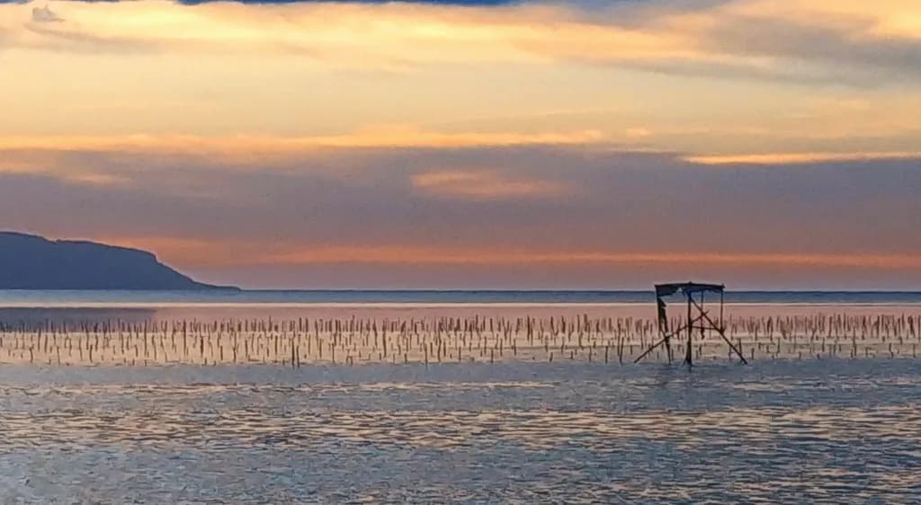 Serenity at Sunset: A Tranquil Reflection on Water's Edge