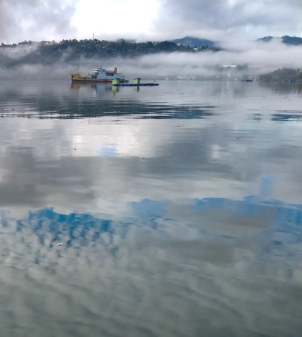 Serenity in Reflection: A Misty Morning on the Water