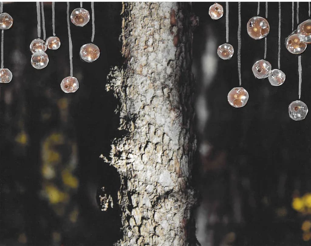 Whispers of Light: Ethereal Orbs Hanging in Nature's Embrace