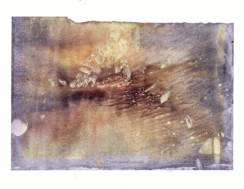 Whispers of Nature: A Serene Dance of Light and Texture in Earthy Hues