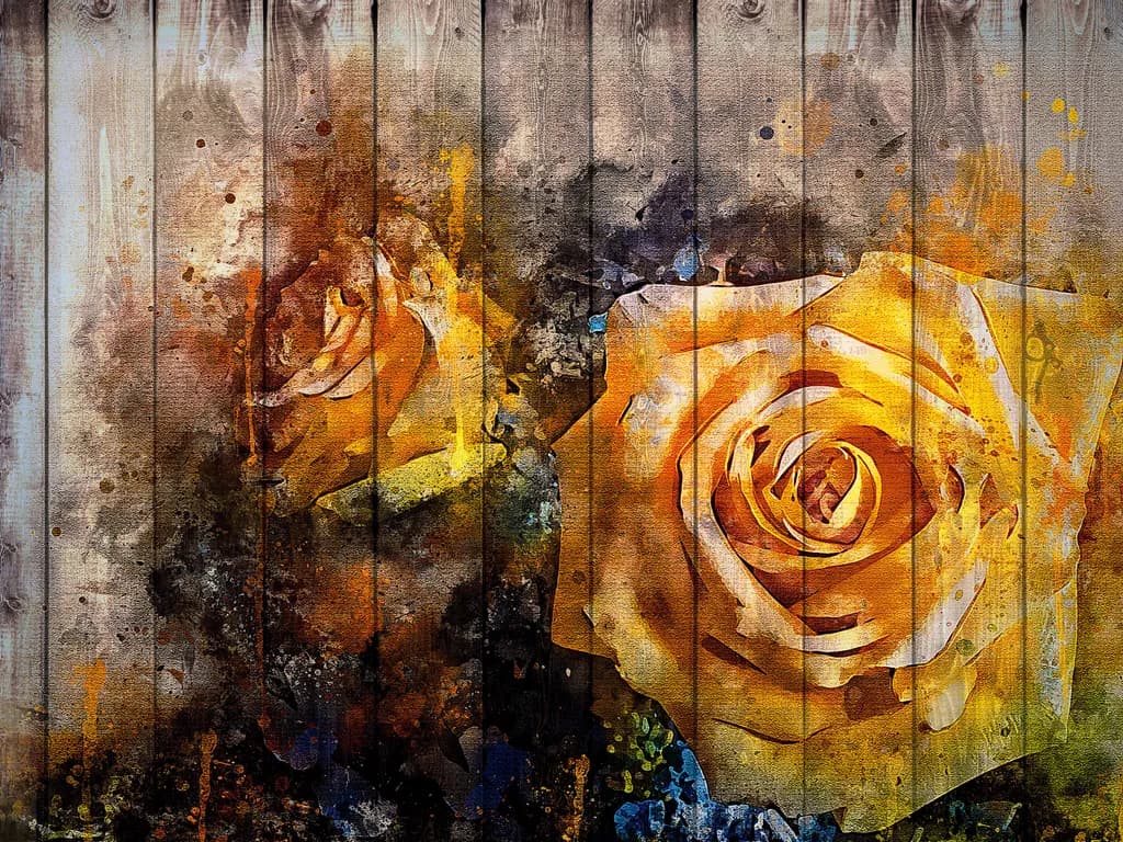 Wooden Rose Splatter