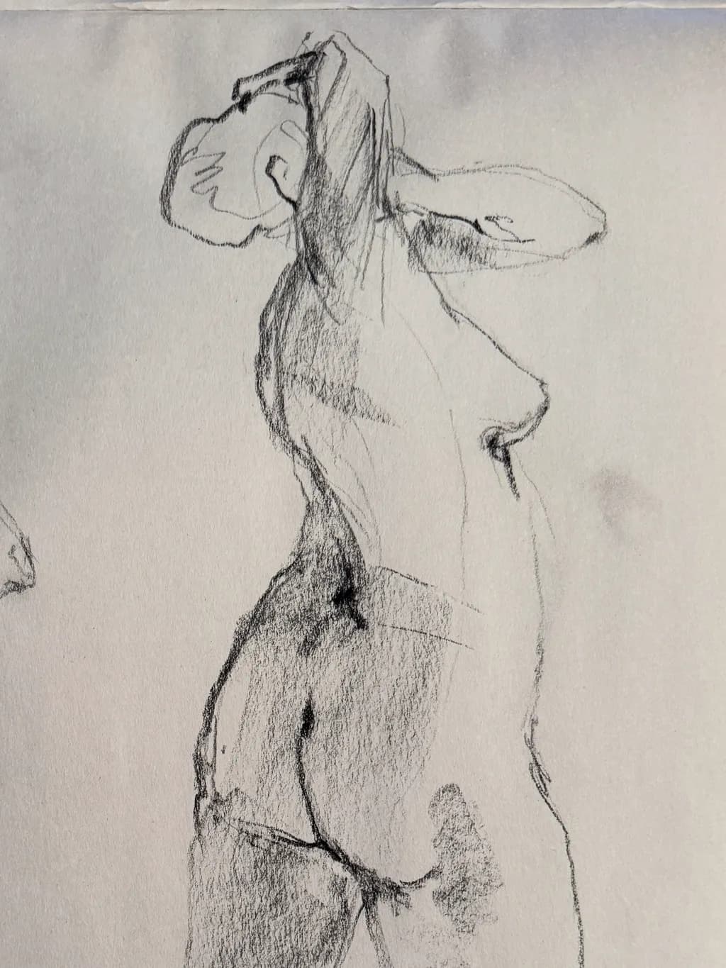 Graceful Contours