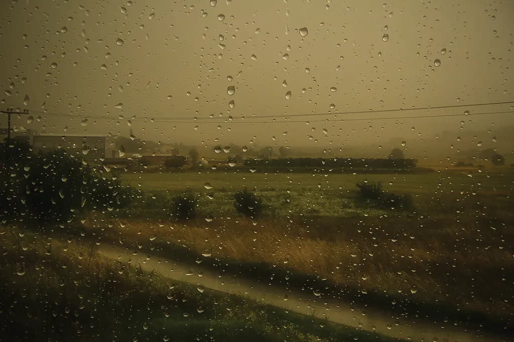 Rain-Streaked Window