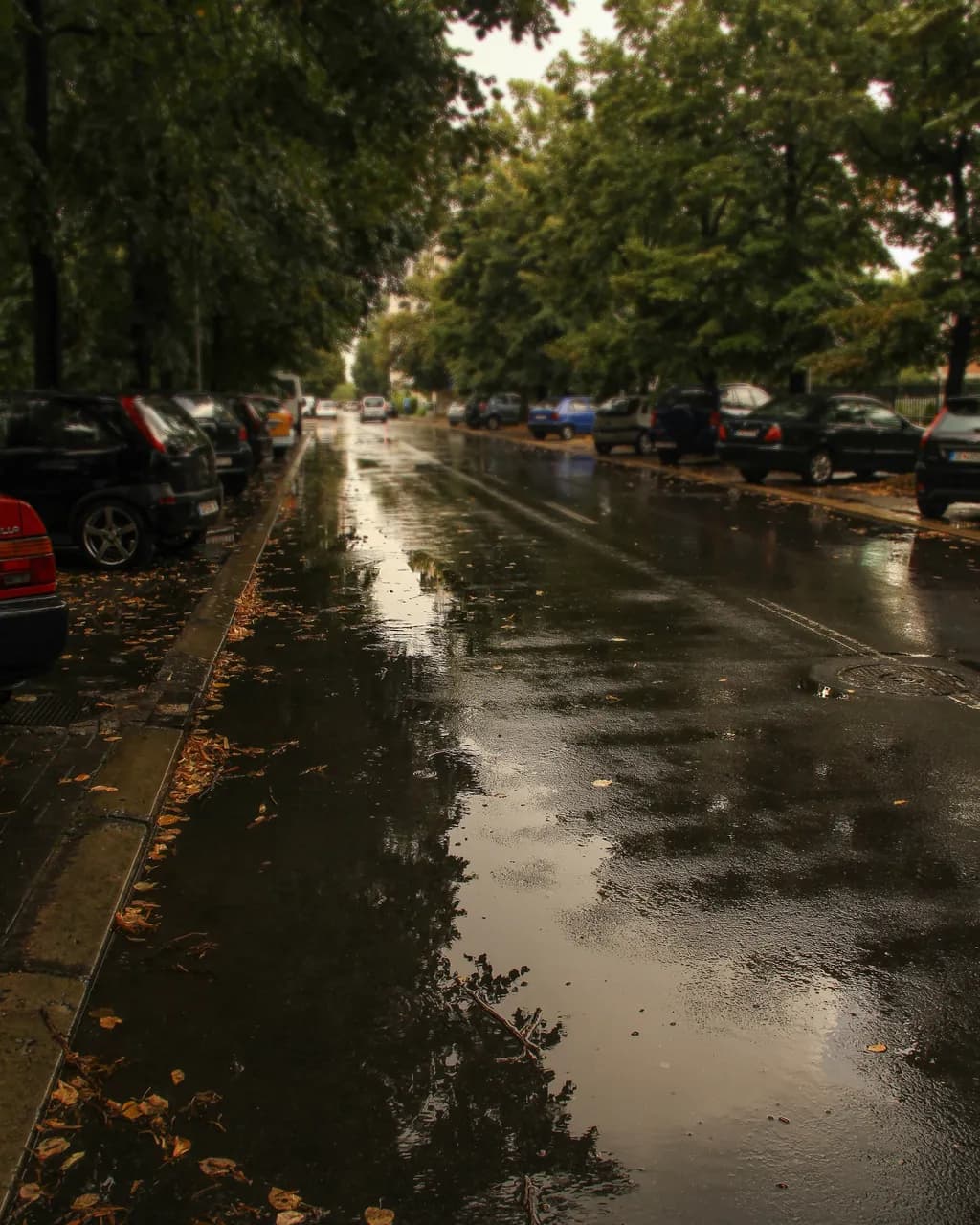 After the Rain