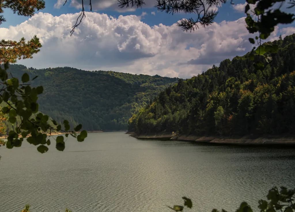 Winding Tranquility