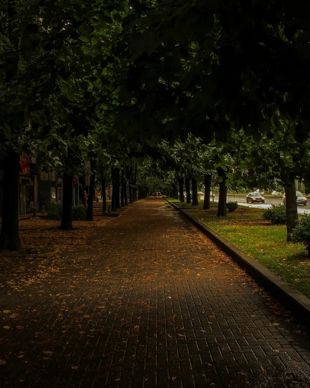 Shaded Pathway
