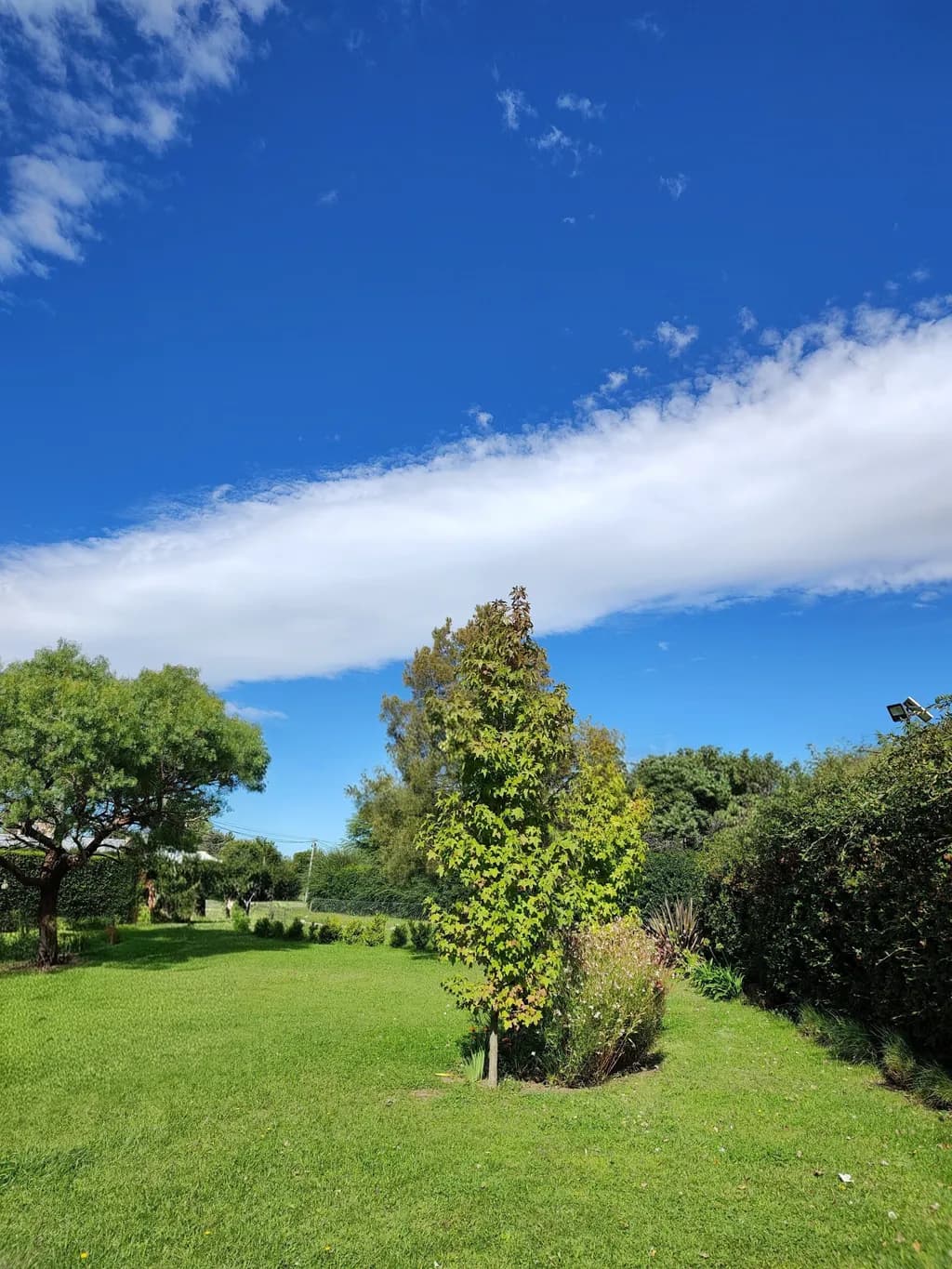 Between Earth and Sky