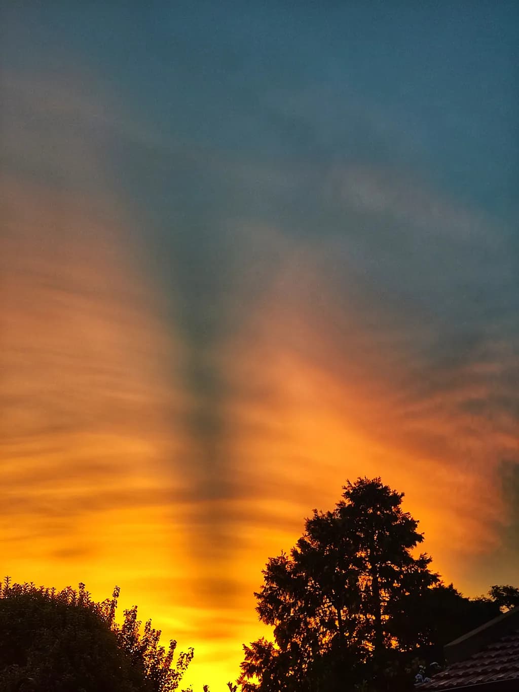 Last Light Folding