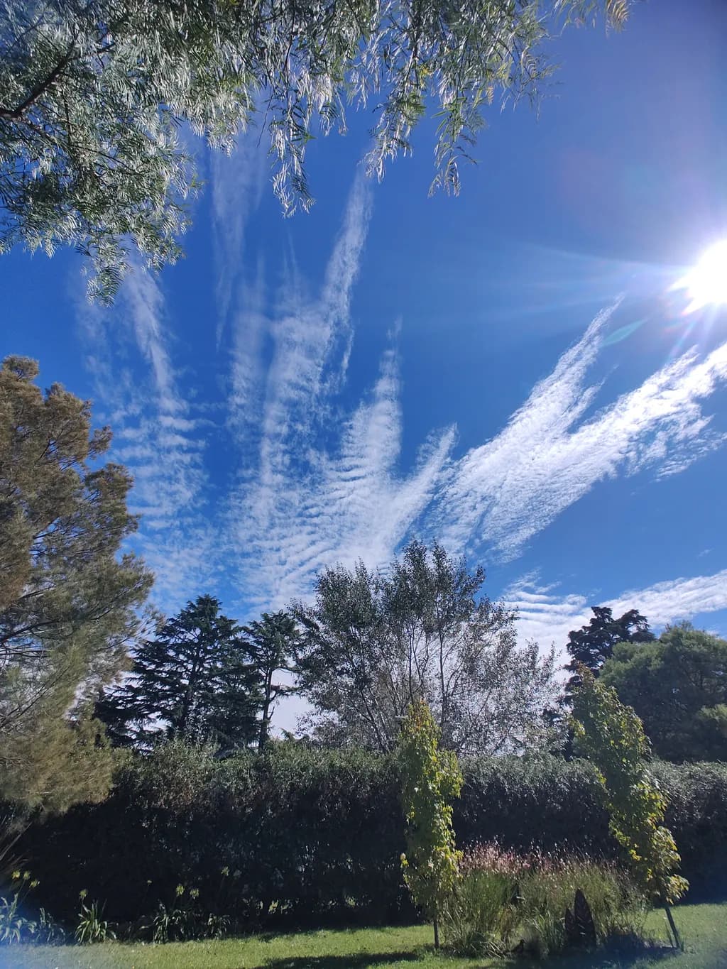 Skyward Whispers