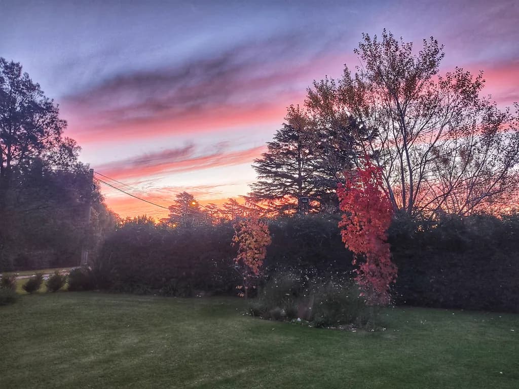 Quiet Ember Twilight
