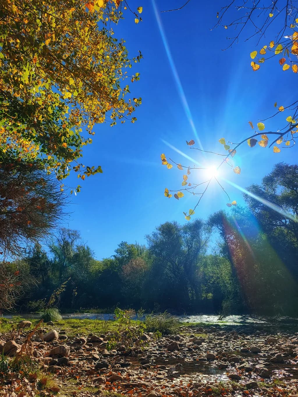 Autumn Radiance
