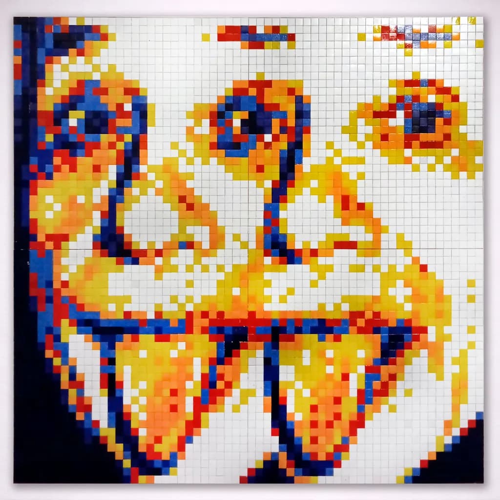 Double Einstein Pixelation