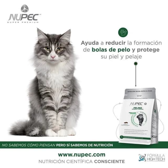 Whiskers of Wellness: Premium Nutrition for a Healthy Coat and Happy Cat