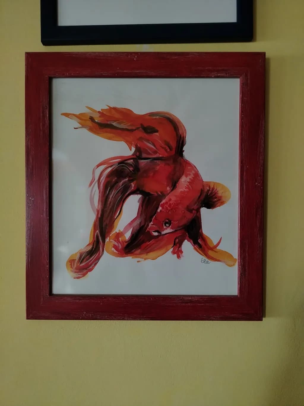 Crimson Goldfish