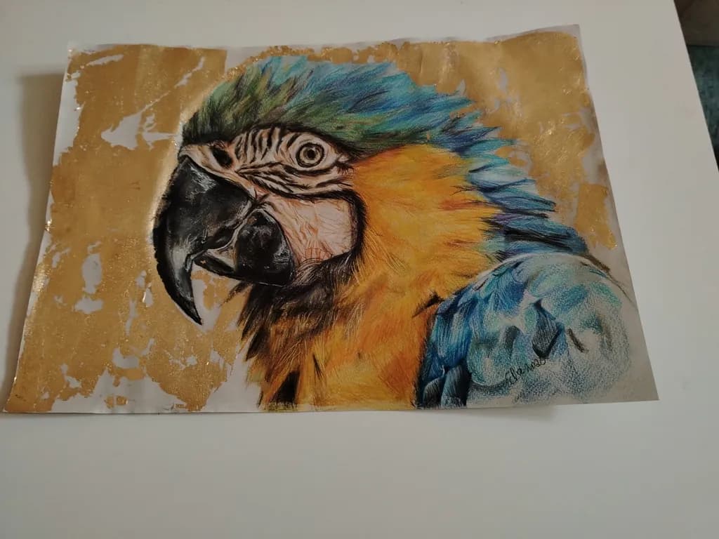 Golden Parrot Majesty
