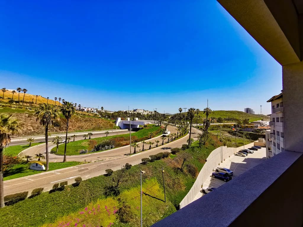 Serenity in Motion: A Vibrant Coastal View of Palm-Lined Roads and Clear Blue Skies