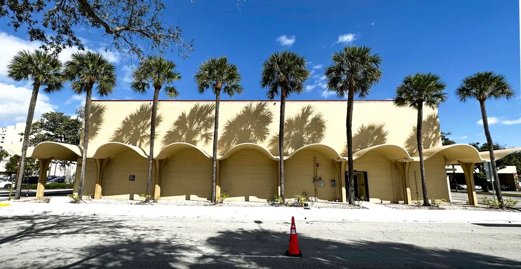 Palm Trees & Architecture