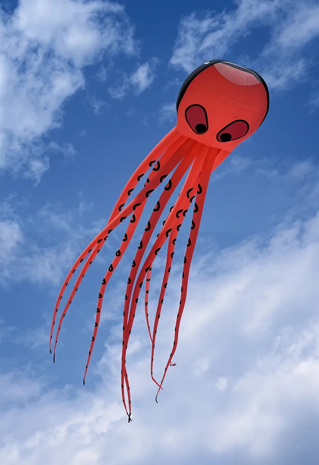 Slinky Octopus Kite