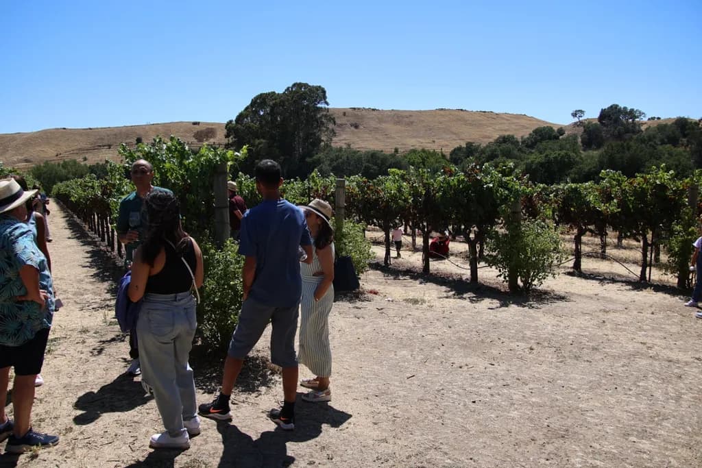 Vineyard Gathering