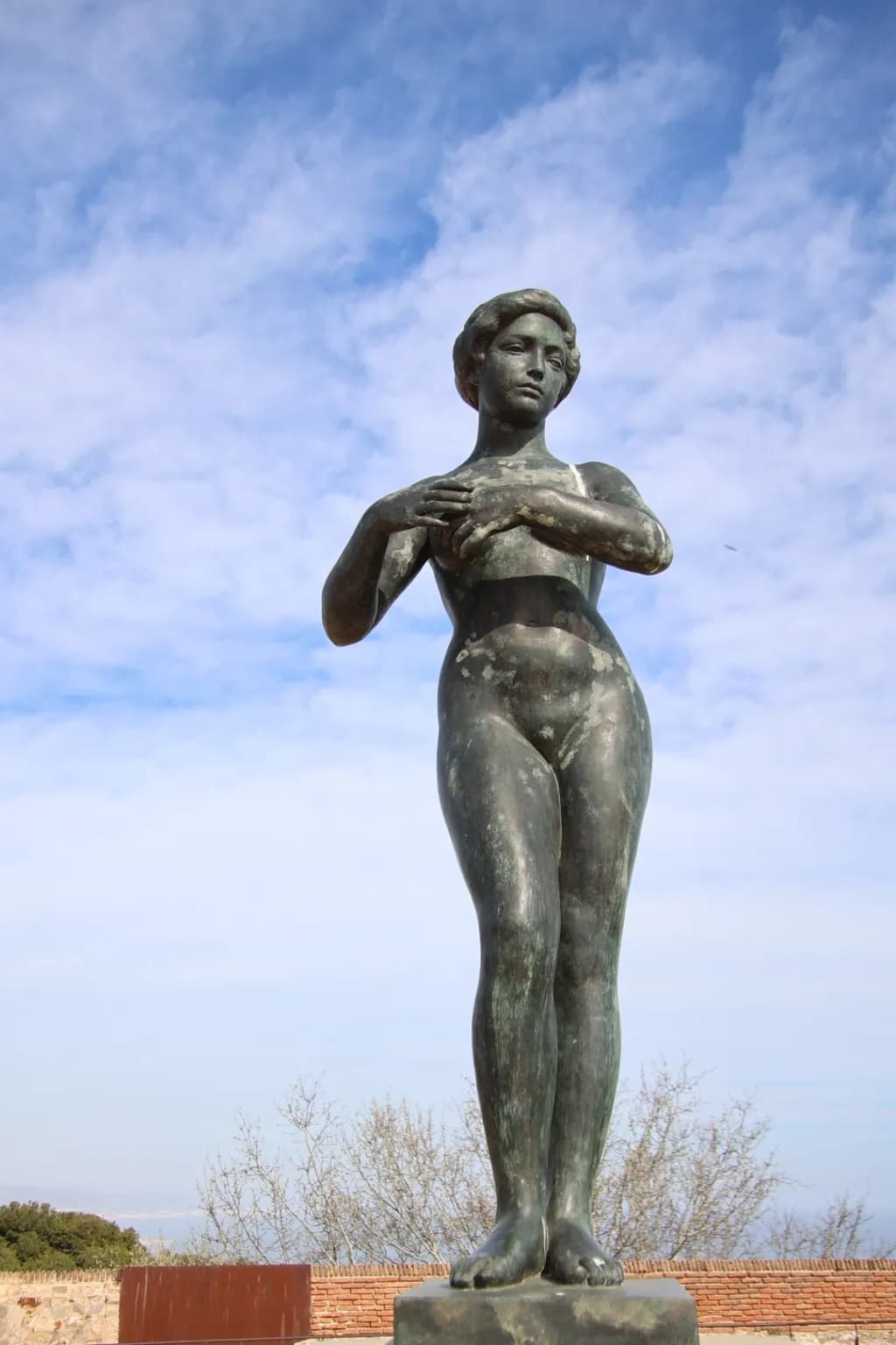 Graceful Figure