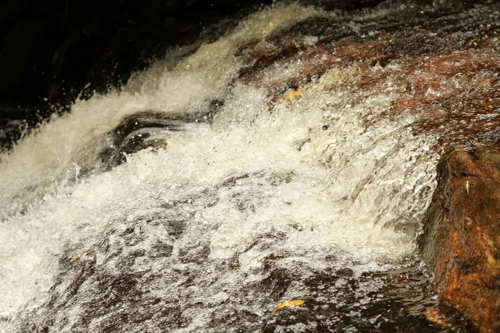 Whispers of the Stream: A Refreshing Dance of Water and Texture