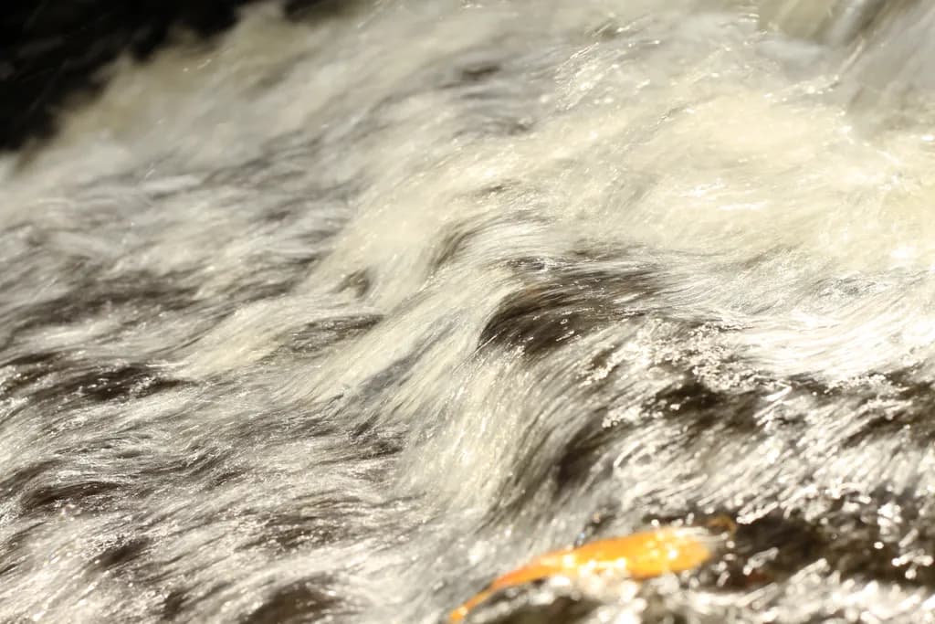 Whispers of Water: A Serene Dance of Flowing Currents