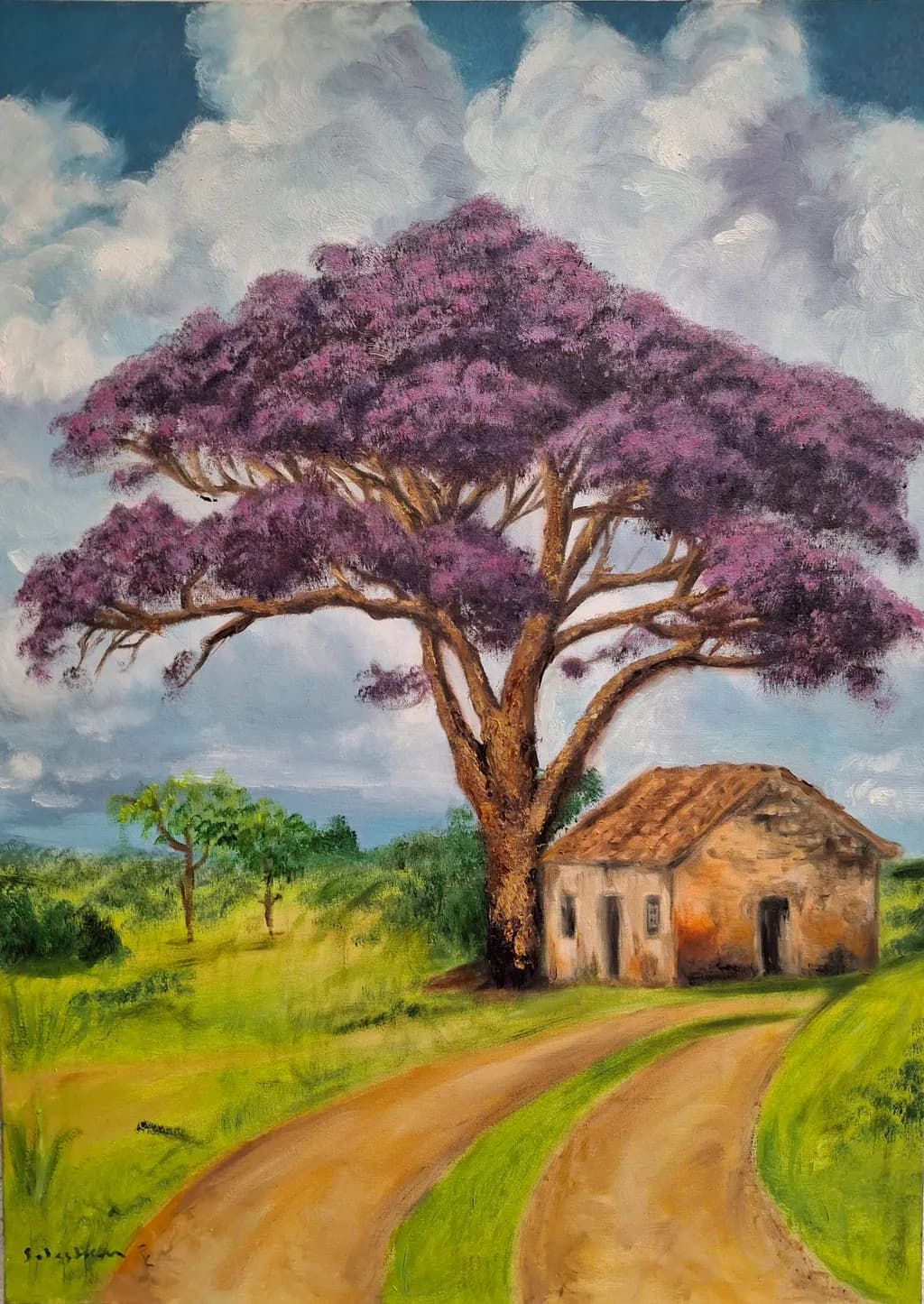 Ocobo tree and old house