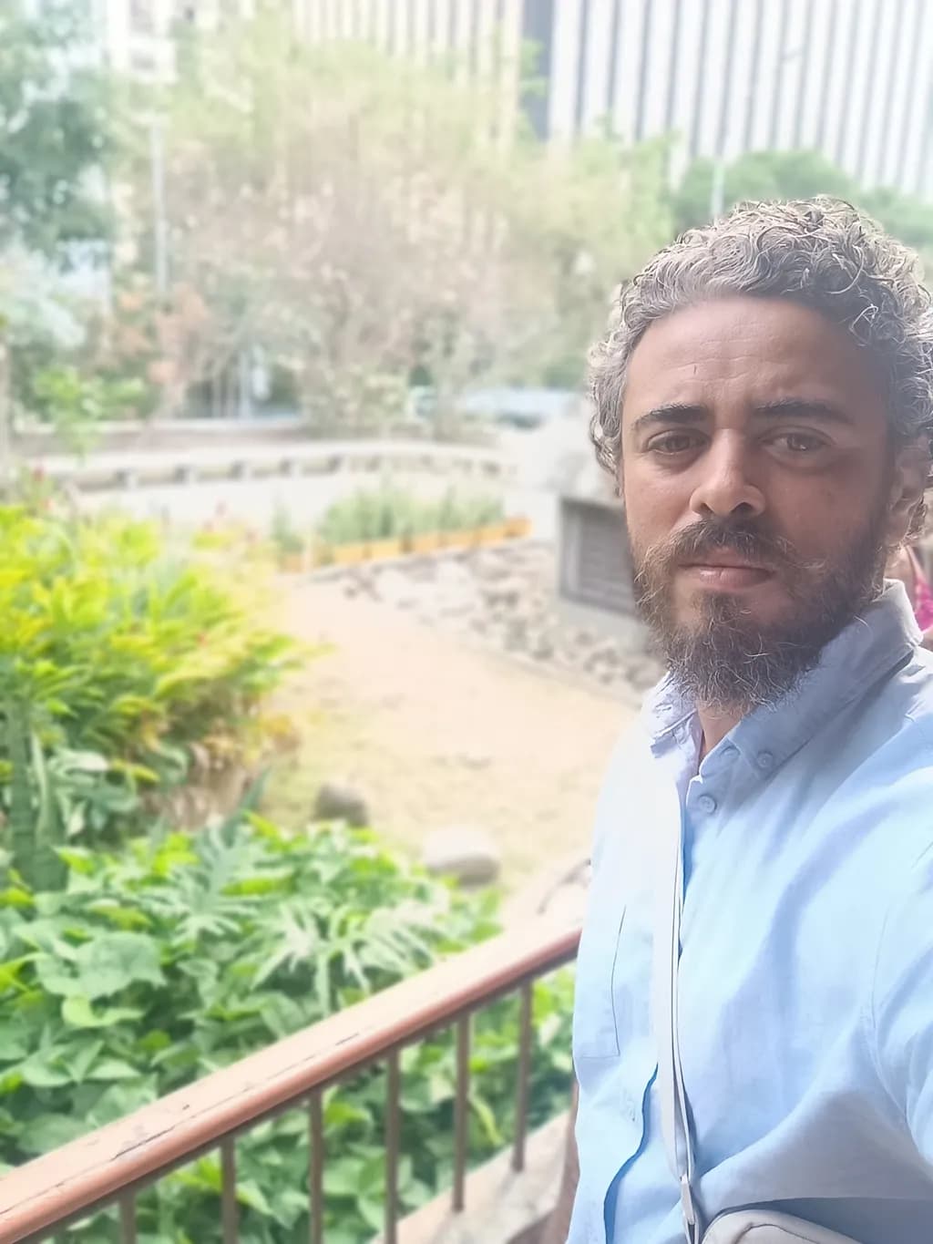 Urban Serenity: A Moment of Reflection Amidst Nature's Embrace