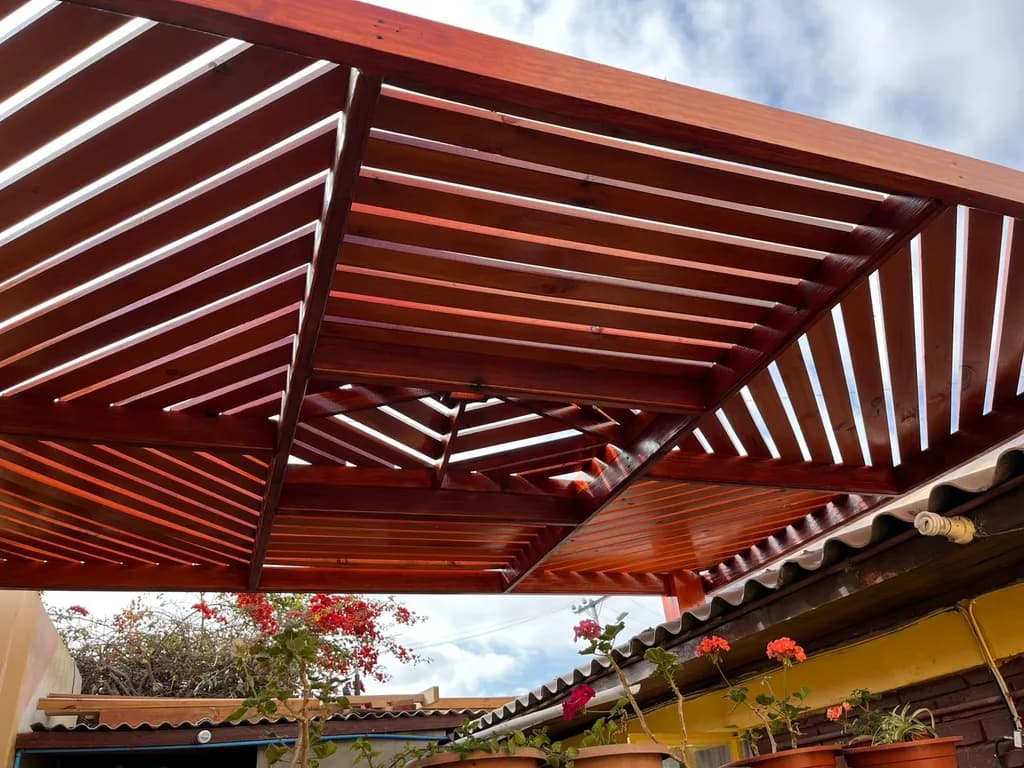 Sunlit Serenity: A Wooden Canopy Embracing Nature's Beauty