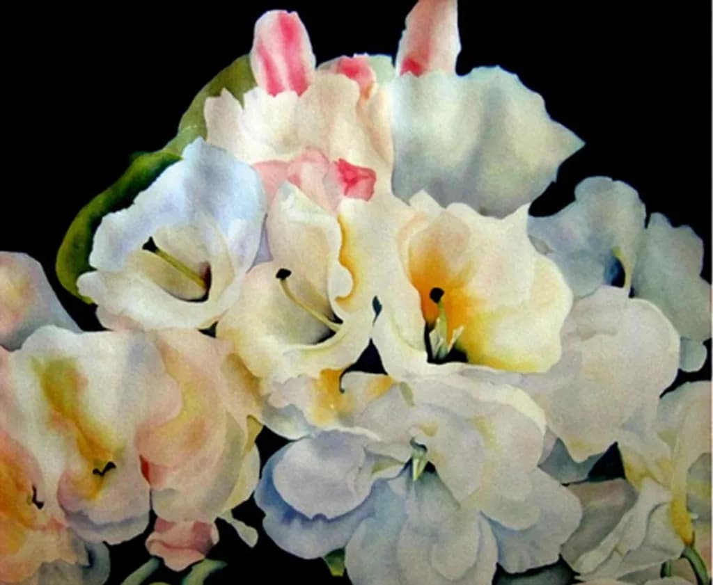 Delicate Rhododendrons