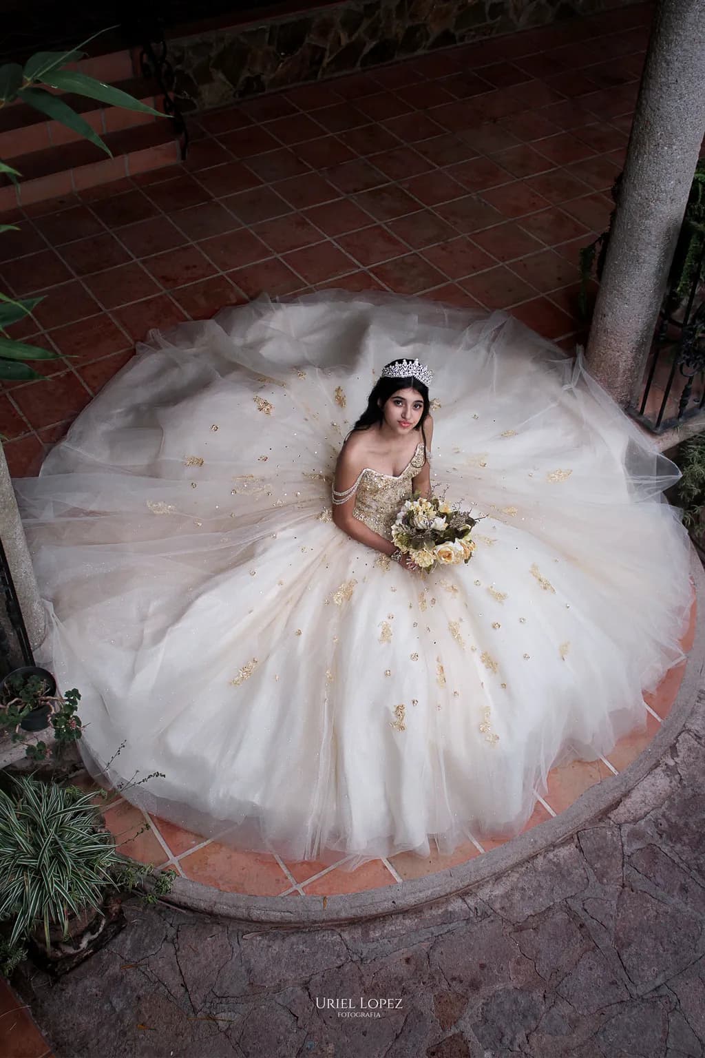 Ethereal Elegance: A Dreamy Portrait of Grace in a Golden-Embellished Gown