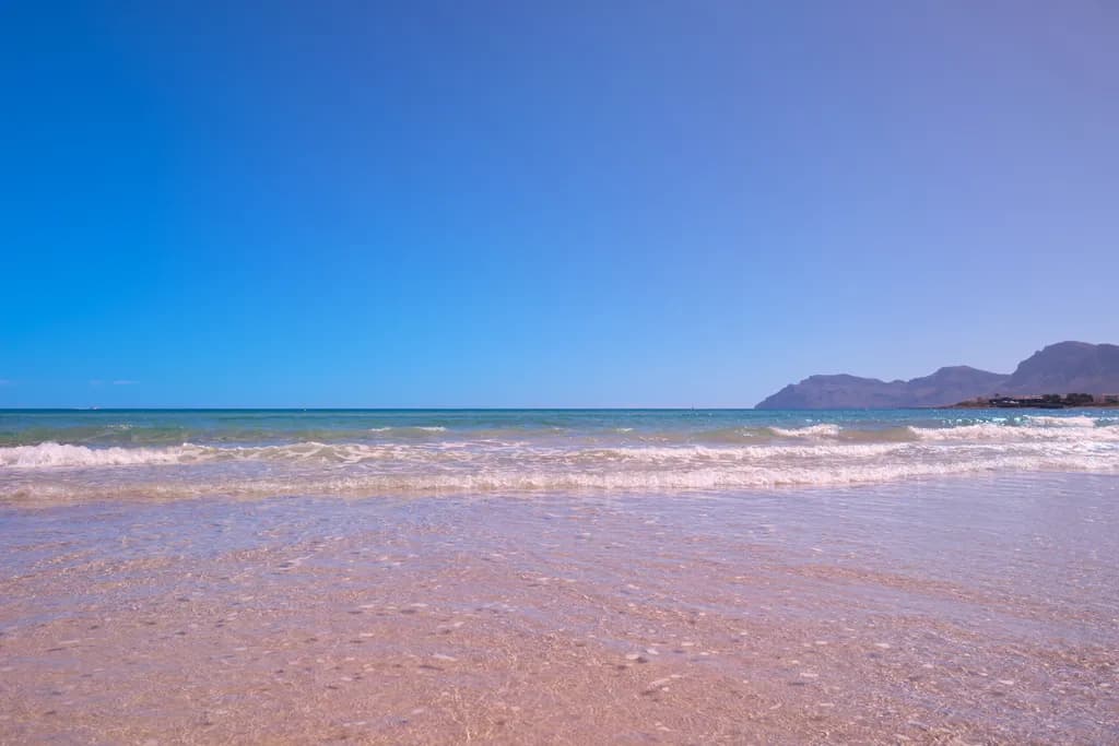 Serenity by the Shore: A Tranquil Beach Escape Under a Clear Sky