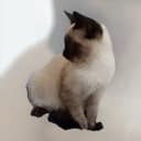 Original