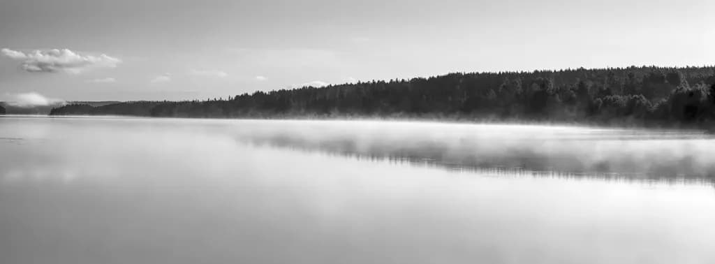 Whispers of Serenity: A Tranquil Reflection on Still Waters